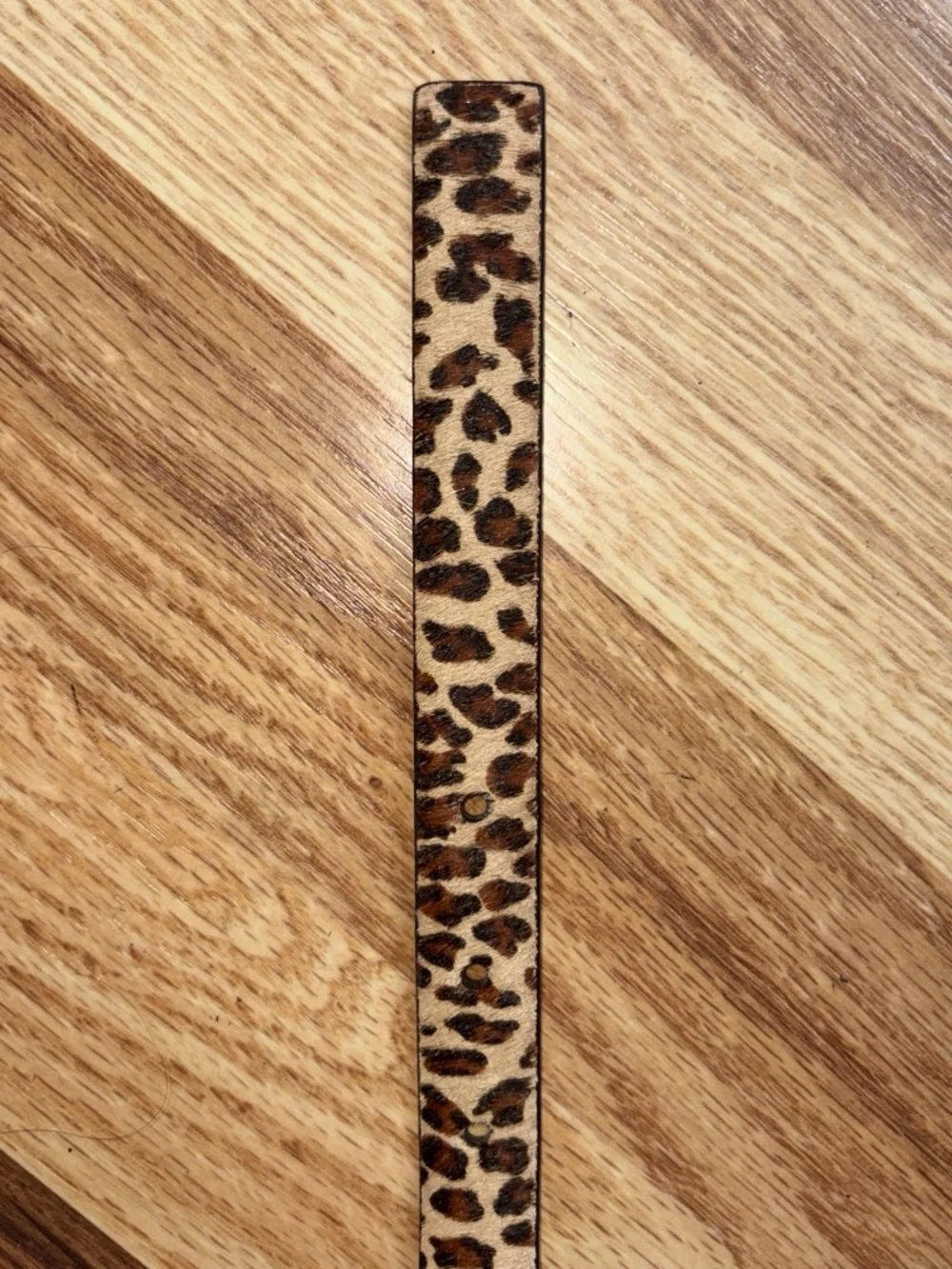 Halogen Leopard Print Belt with Gold-Tone Buckle